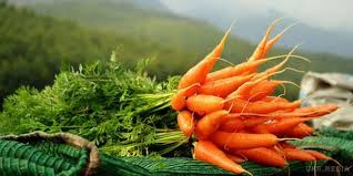 4 квітня Всесвітній день моркви